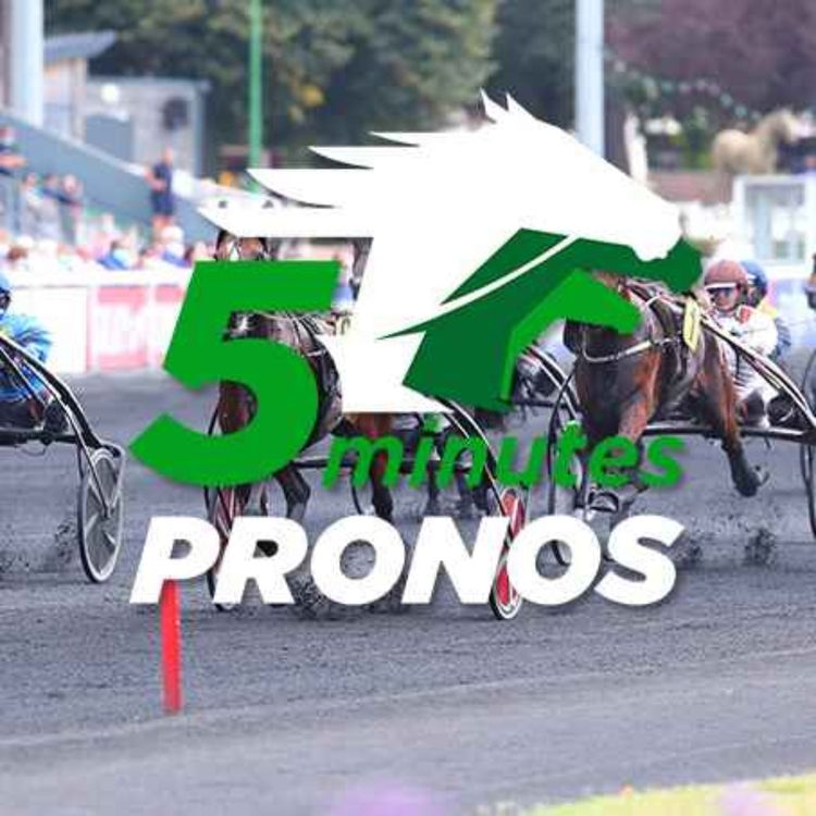 cover art for Courses hippiques du dimanche 19 décembre