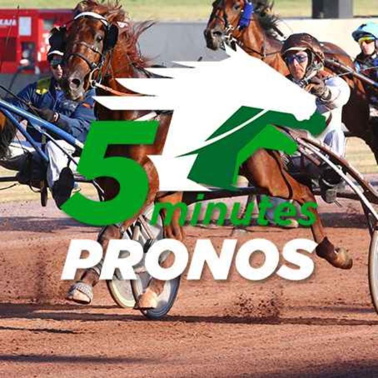 cover art for Courses hippiques du week-end du 5 et 6 novembre