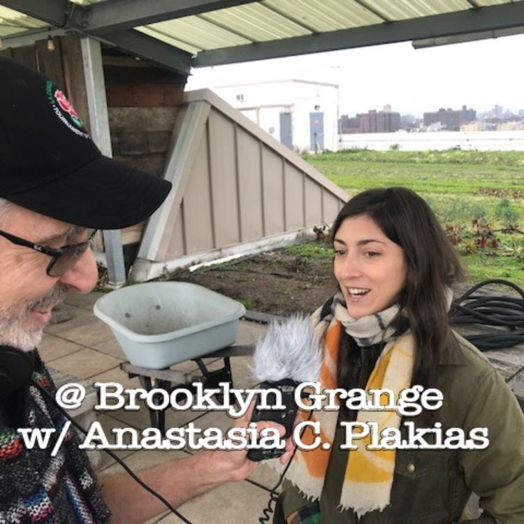 cover art for Urban Farms EXTRA: Brooklyn Grange Farm