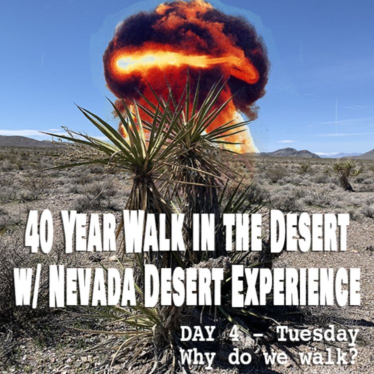 cover art for Desert Walk #5: Why do we walk?