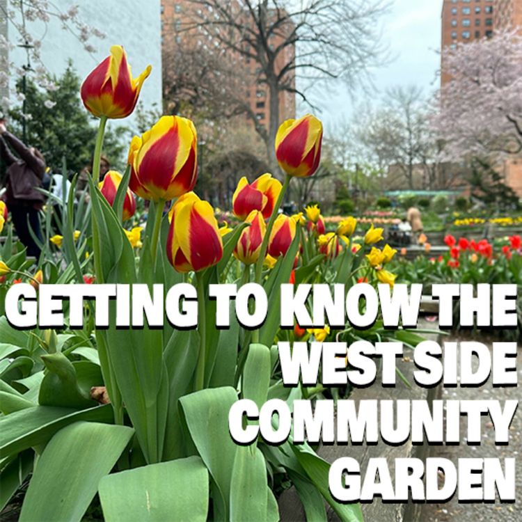 cover art for History of the West Side Community Garden