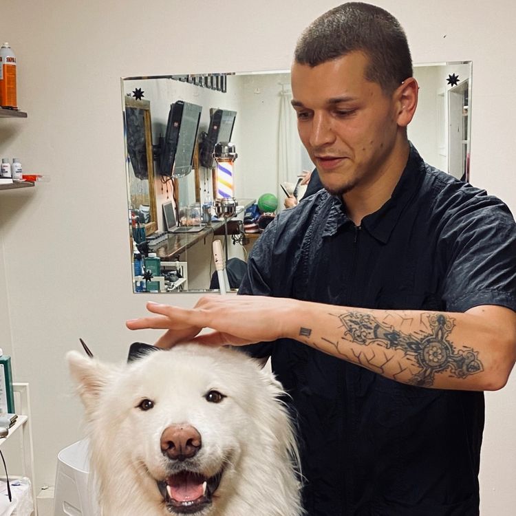 cover art for A barber's grand opening delayed