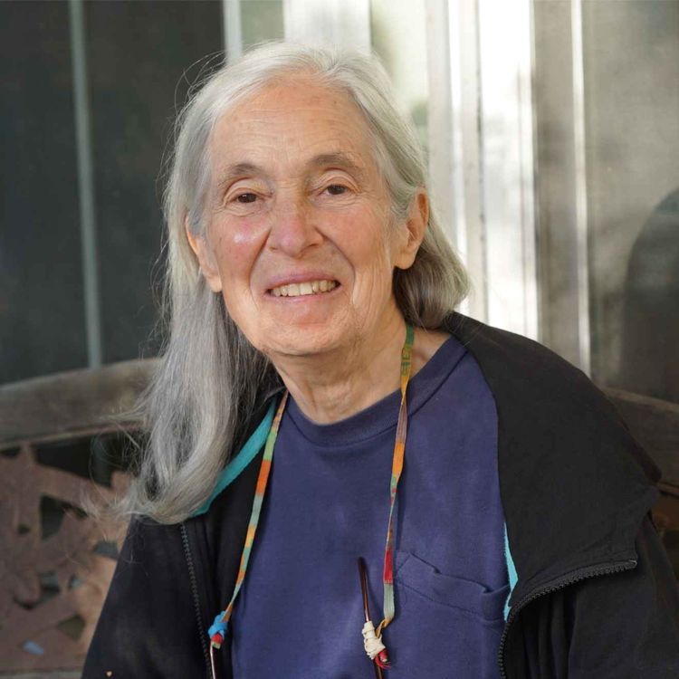 cover art for Edna Litten — speaking out about plastic grass 