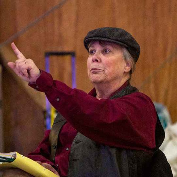 cover art for Penny Shaw creates “Goosen, The Musical” 