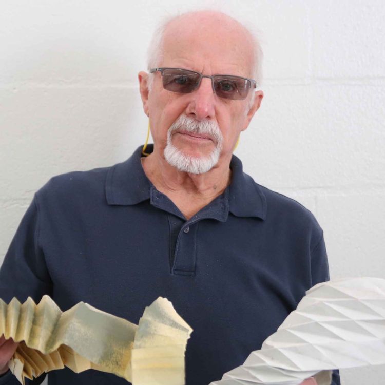 cover art for A fold or a twist or a coil is the stuff of dreams for Steinkamp