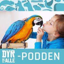 cover art for Dyr for alle-podden