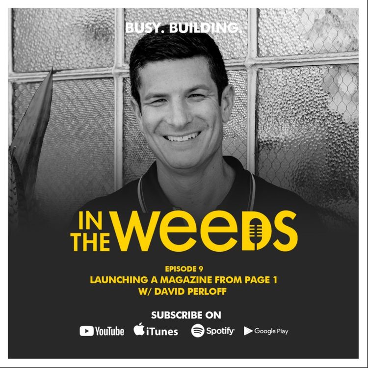 cover art for The One w/ David Perloff [Ep.9]