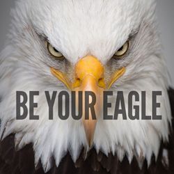 cover art for The Eagle Podcast