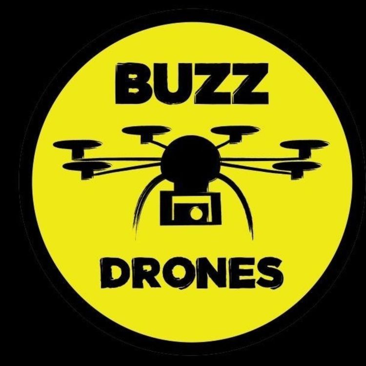 cover art for Buzz Drones 