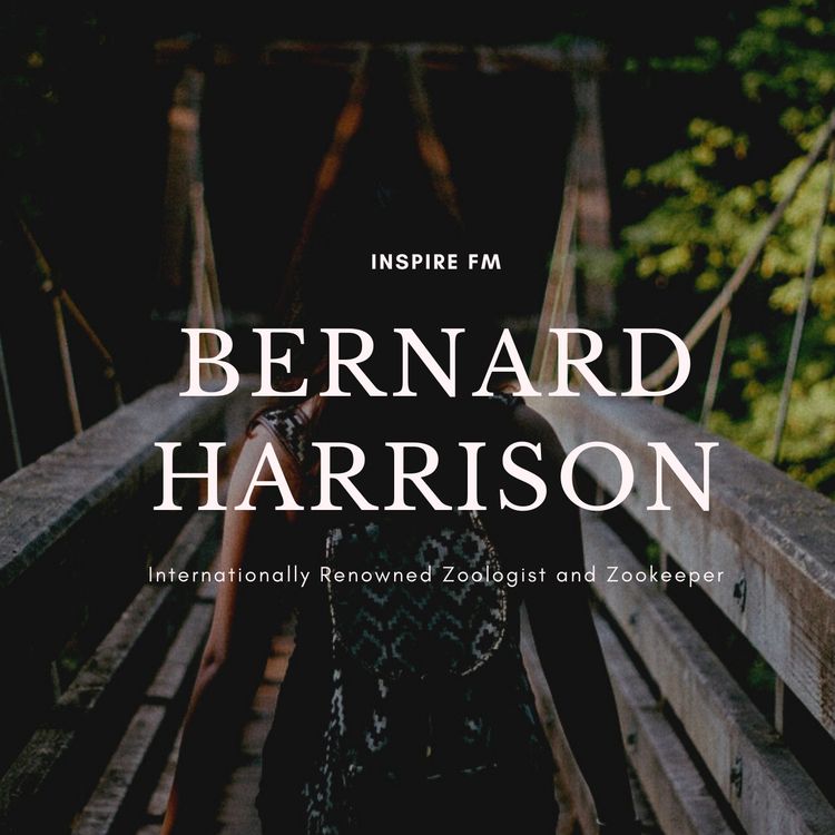 cover art for Going Wild with Zookeeper Bernard Harrison