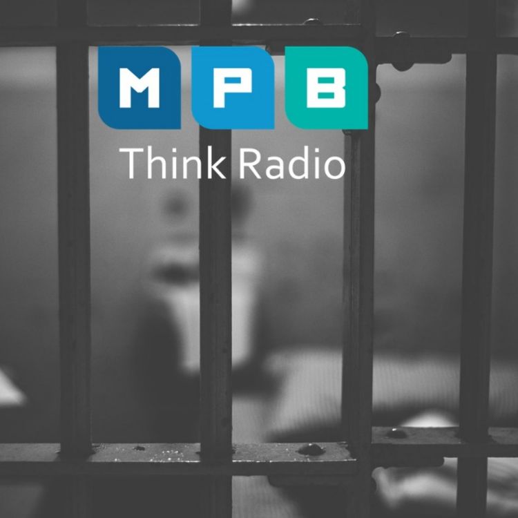 cover art for In Legal Terms: Criminal Justice System