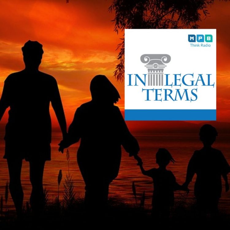 cover art for In Legal Terms: Adoption