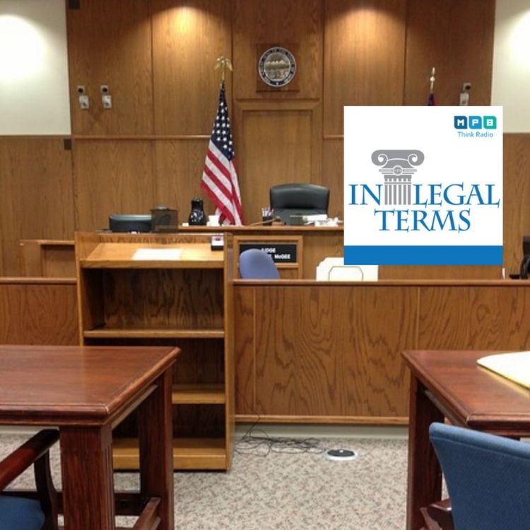 cover art for In Legal Terms: Double Jeopardy