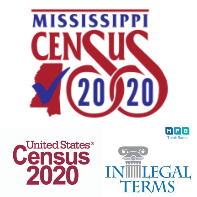 cover art for In Legal Terms: Census Repeat