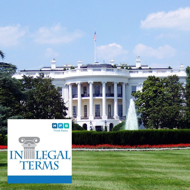 cover art for In Legal Terms: COVID-19 Legislation