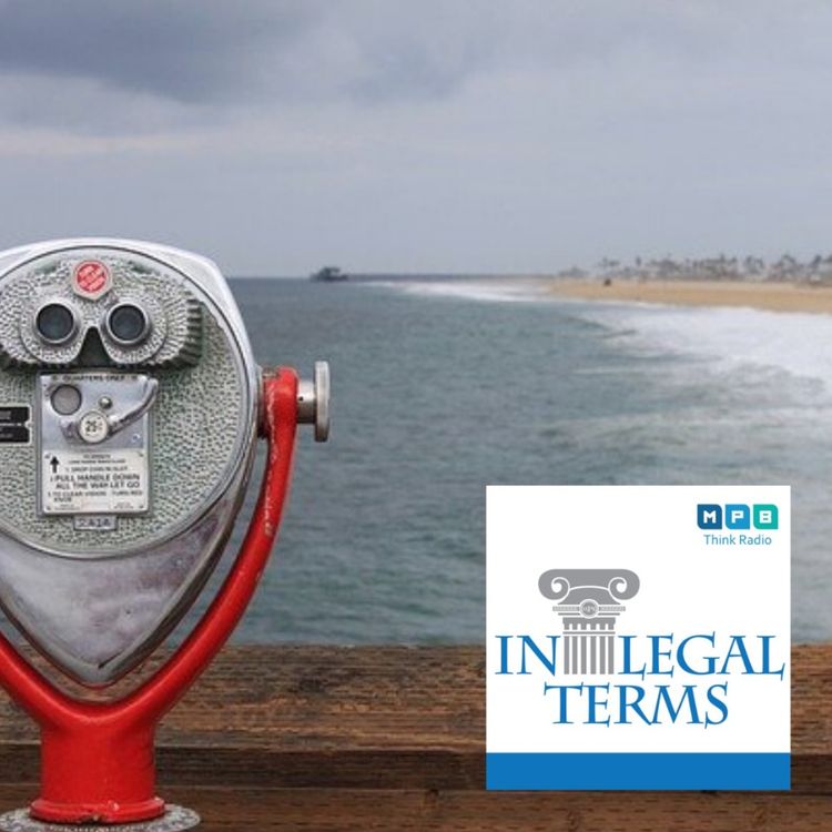 cover art for In Legal Terms: Consumer Protection