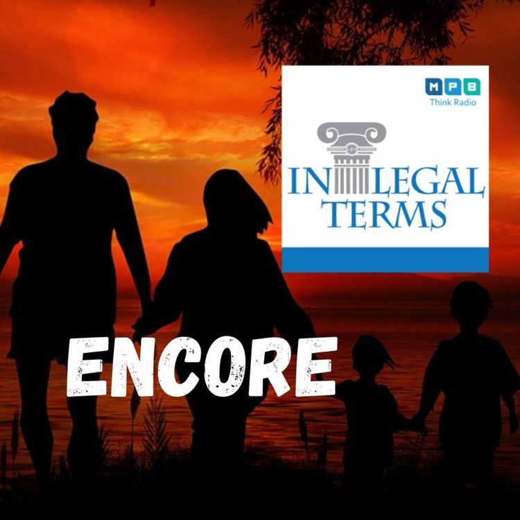 cover art for In Legal Terms: Adoption Encore