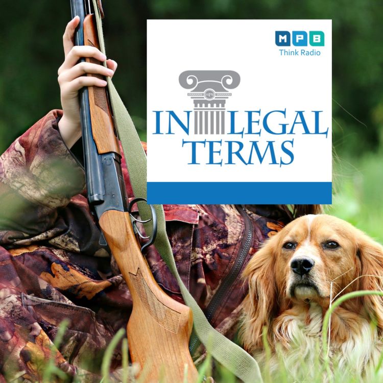 cover art for In Legal Terms: Gun Rights