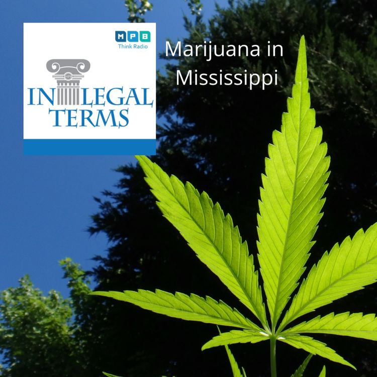 cover art for In Legal Terms: Marijuana in Mississippi