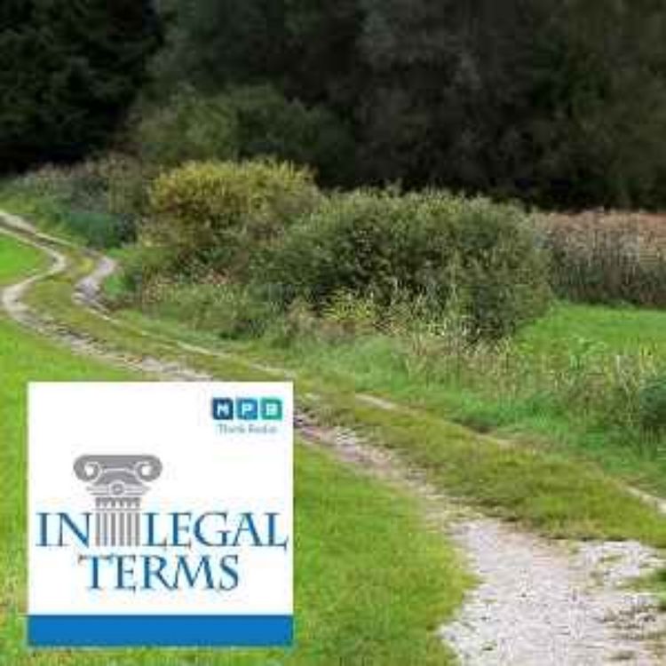 cover art for In Legal Terms: Easements and Roads