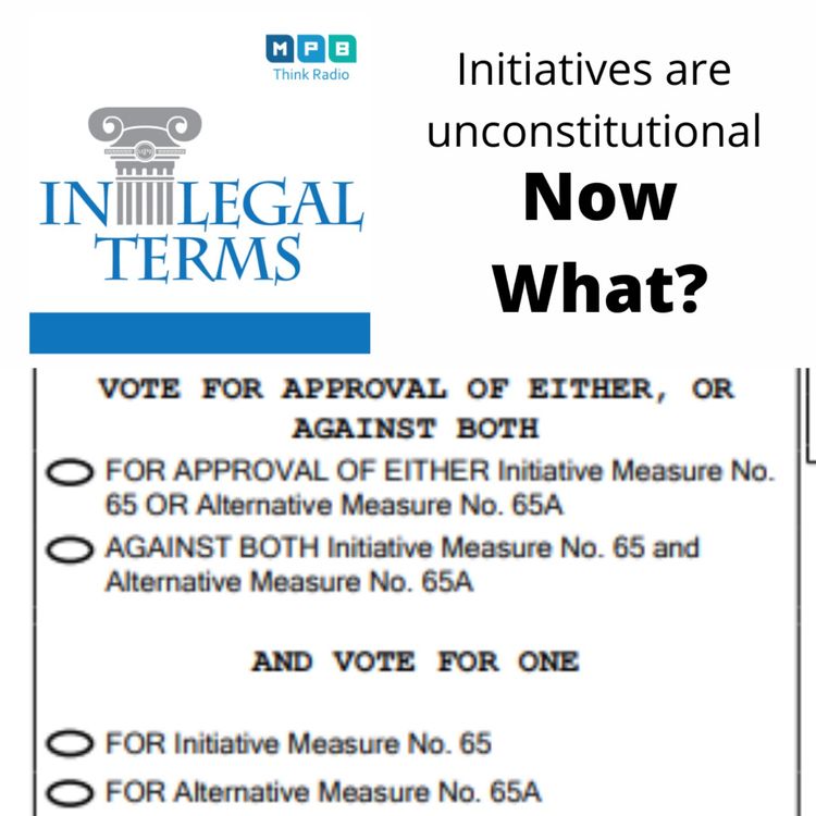 cover art for In Legal Terms: Initiatives Uncontitutional