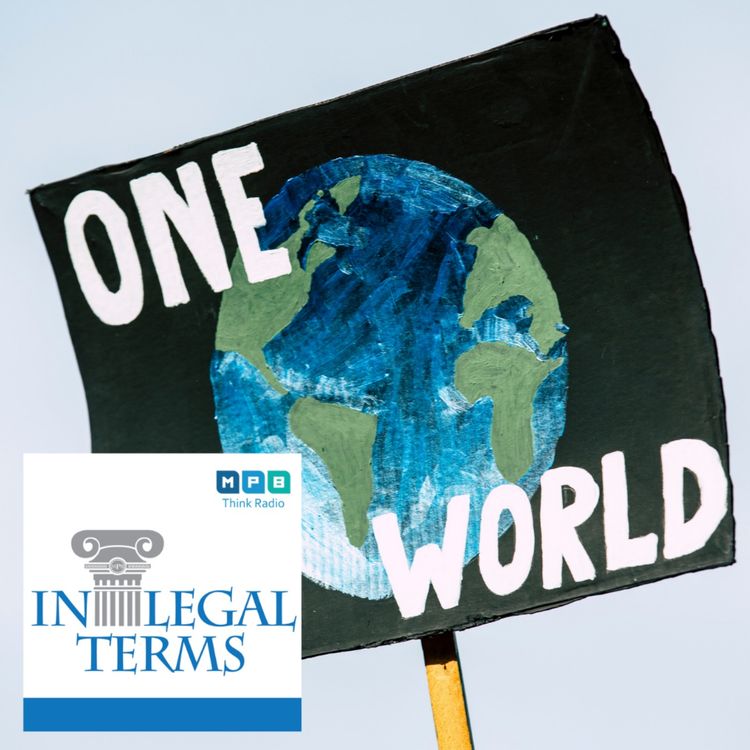 cover art for In Legal Terms: Carbon Emissions