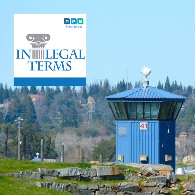 cover art for In Legal Terms: Public Defender System Reforms