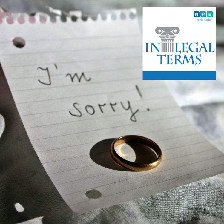 cover art for In Legal Terms: Family Law Task Force
