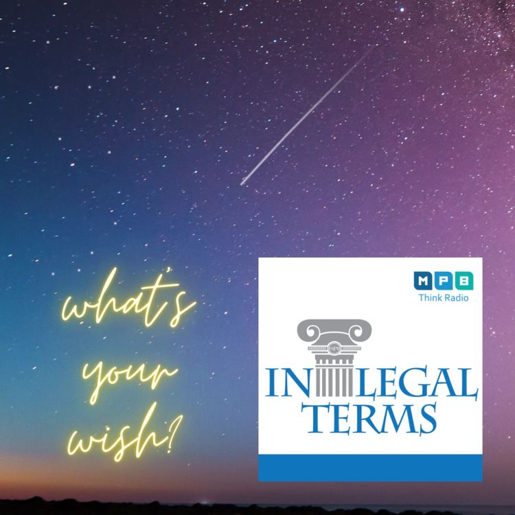 cover art for In Legal Terms: Wishes