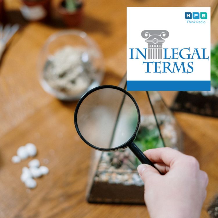 cover art for In Legal Terms: Search & Seizures