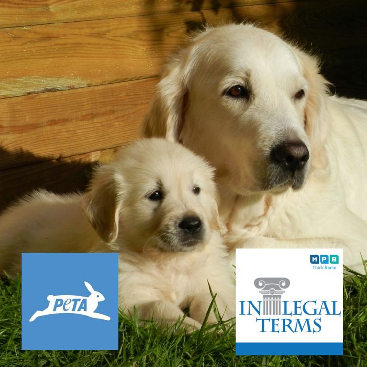 cover art for In Legal Terms: Animal Rights with PETA