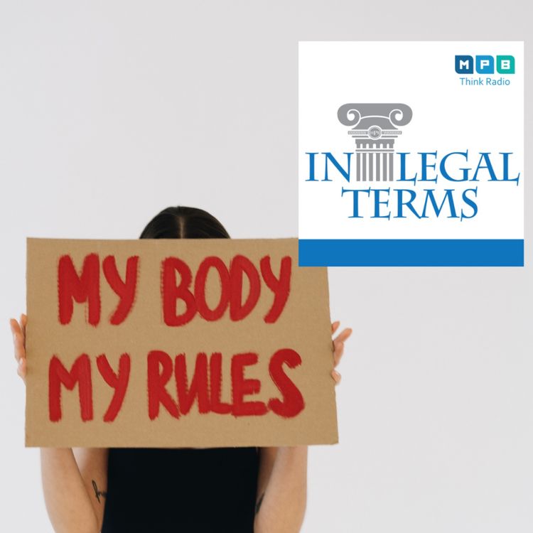 cover art for In Legal Terms: Dobbs in 2022