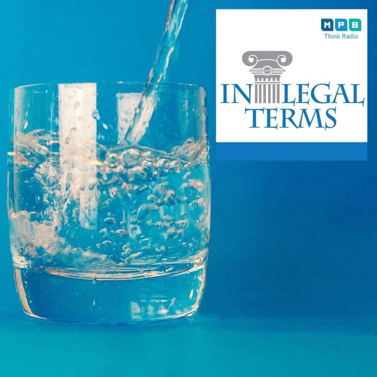 cover art for In Legal Terms: Camp Lejeune Lawsuit