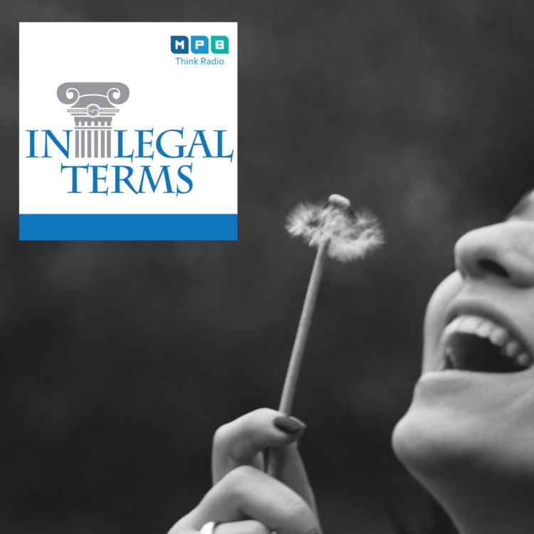 cover art for In Legal Terms: Wishes 2022