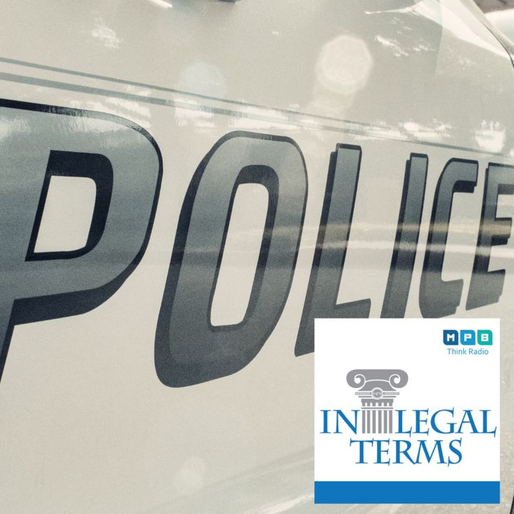 cover art for In Legal Terms: Police Stop and Search
