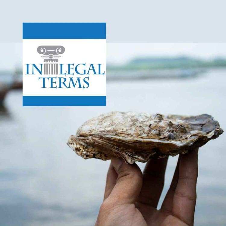 cover art for In Legal Terms: National Sea Grant Law Center