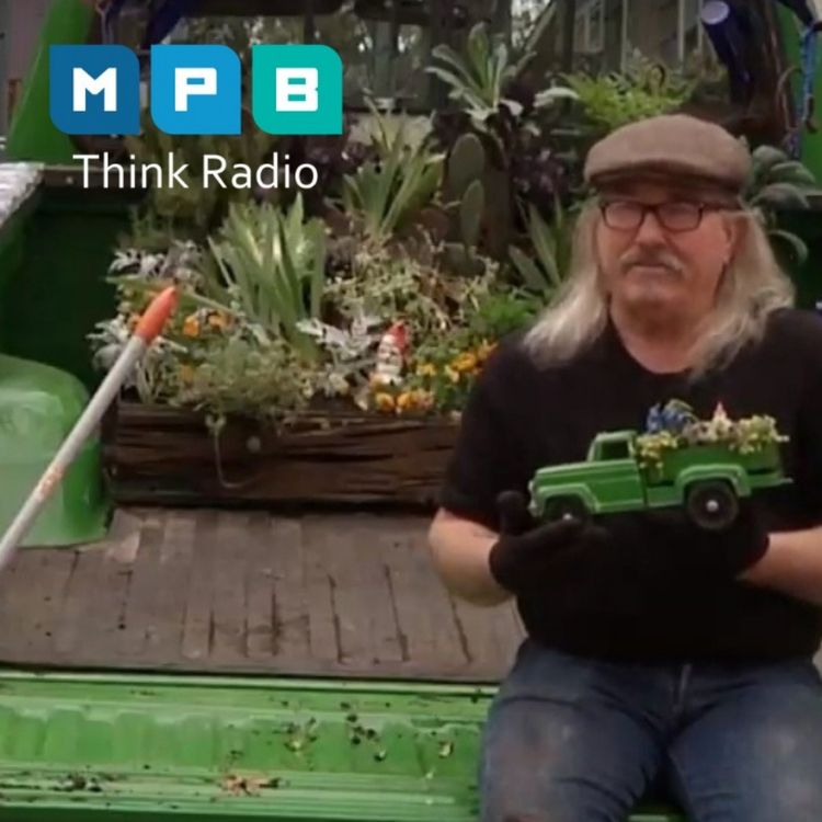 cover art for Auto Correct: Multi-use