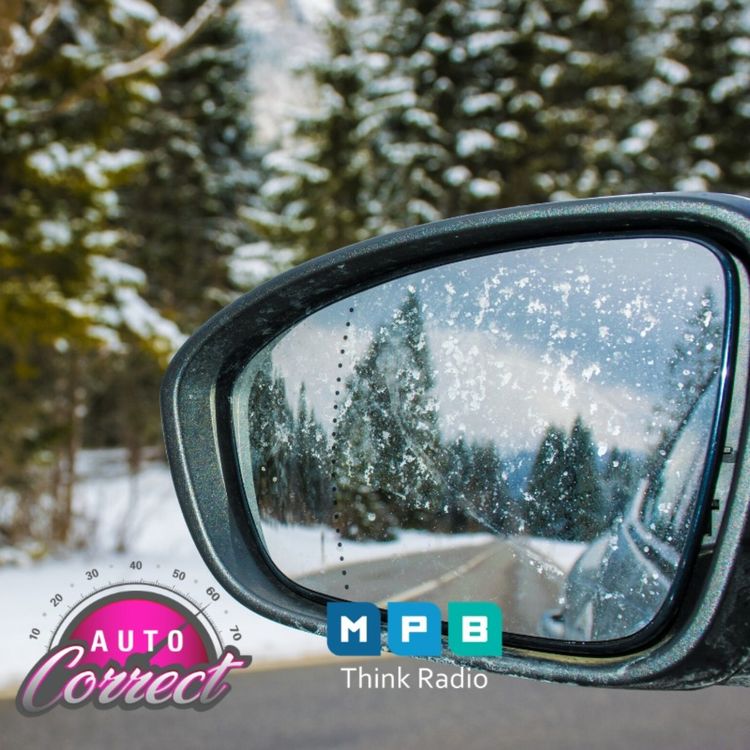 cover art for Auto Correct: Blind Spots