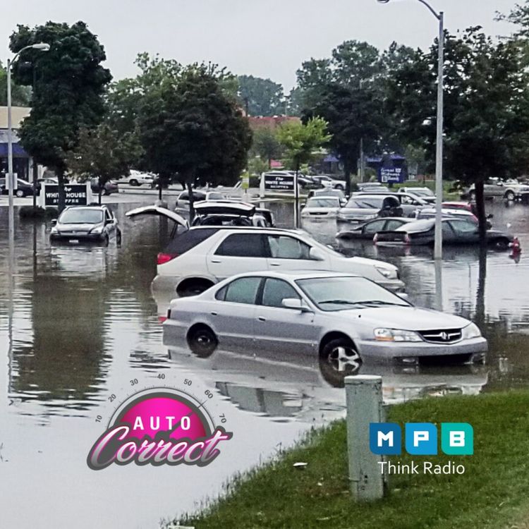 cover art for Auto Correct: Open Topic February