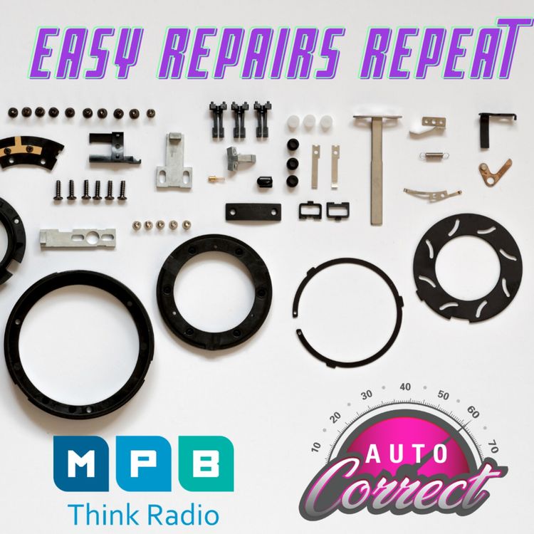 cover art for Auto Correct: Easy Repairs Encore