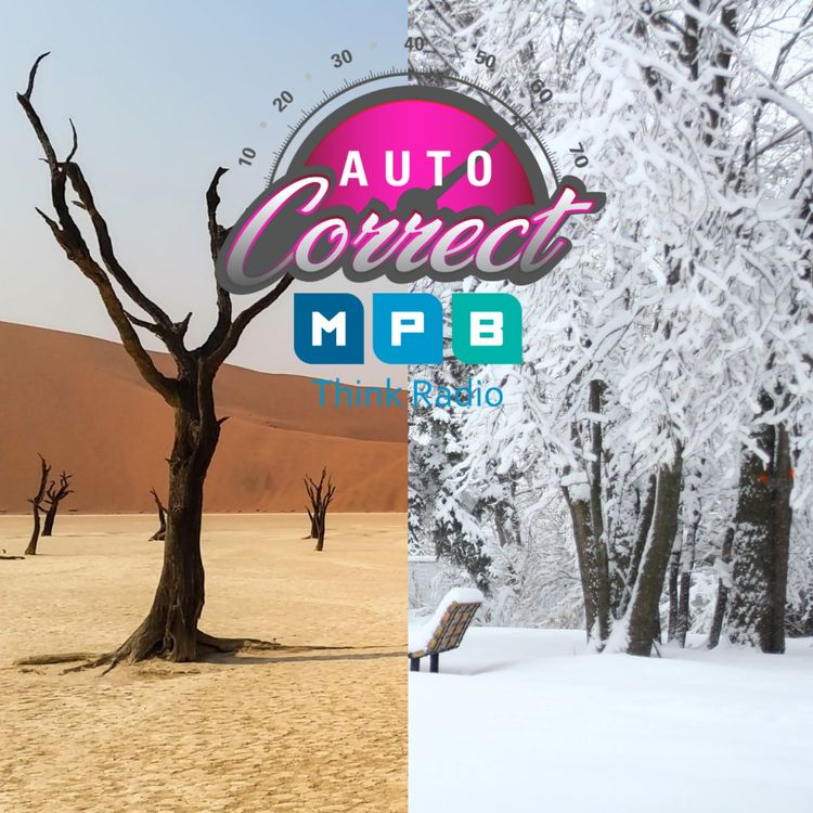 cover art for Auto Correct: Coolant