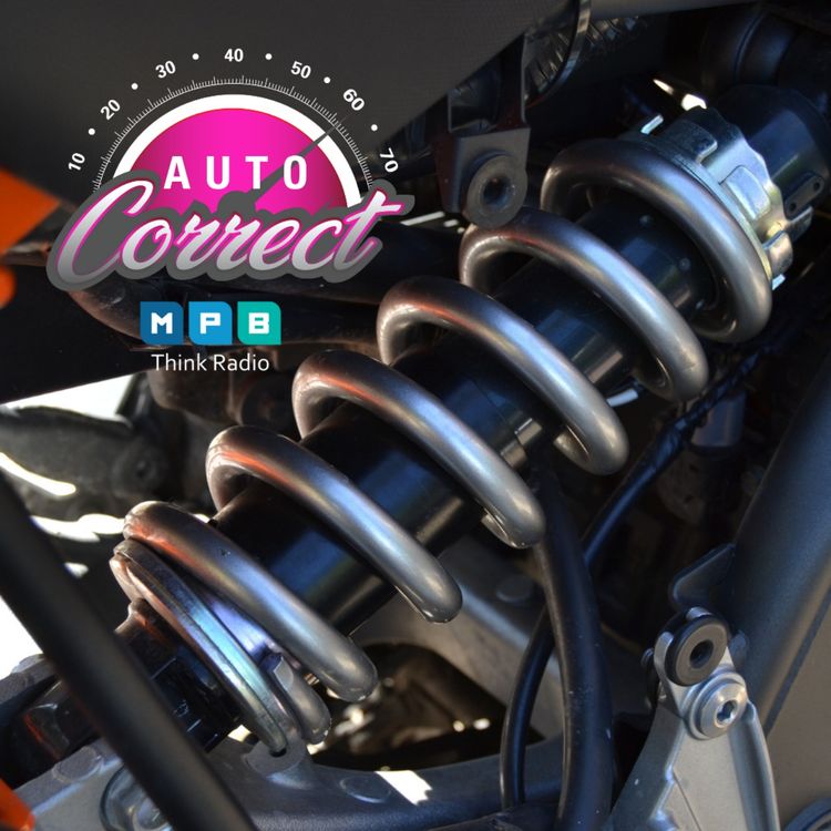 cover art for Auto Correct: Suspensions