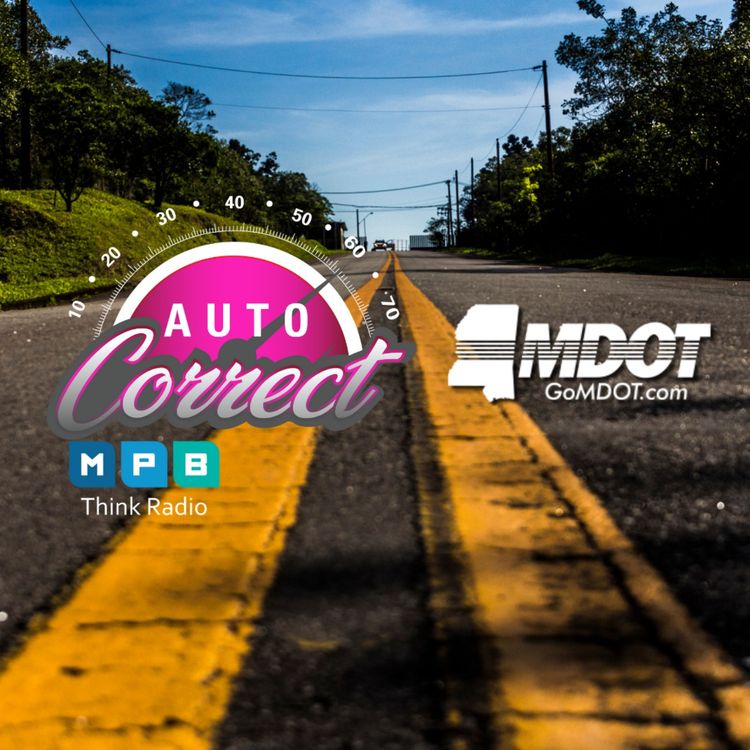 cover art for Auto Correct: MDOT only
