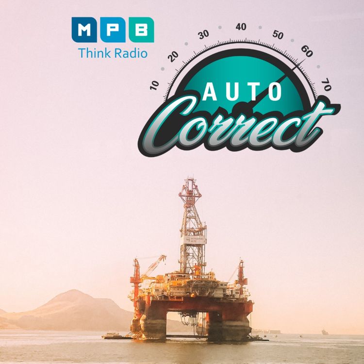 cover art for Auto Correct: Fuel System