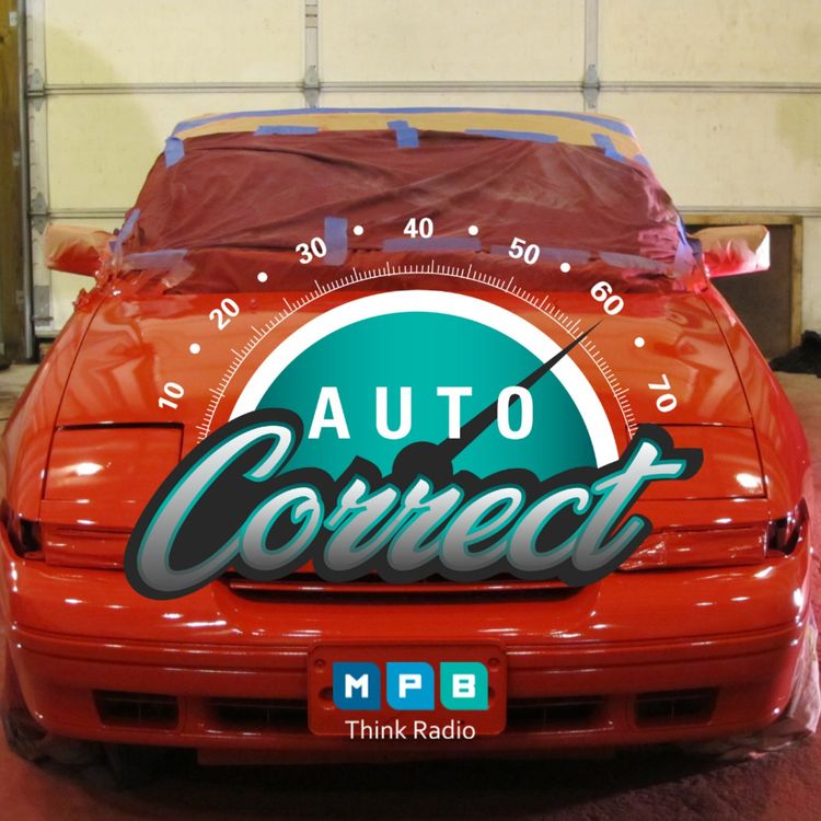 cover art for Auto Correct: Paint and Body