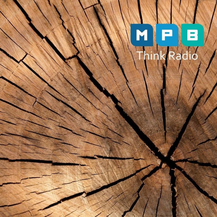 cover art for Creature Comforts: Urban Forest