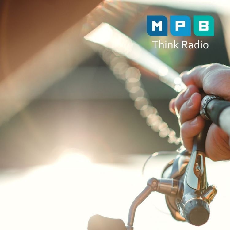 cover art for Creature Comforts: Fishing Fishing