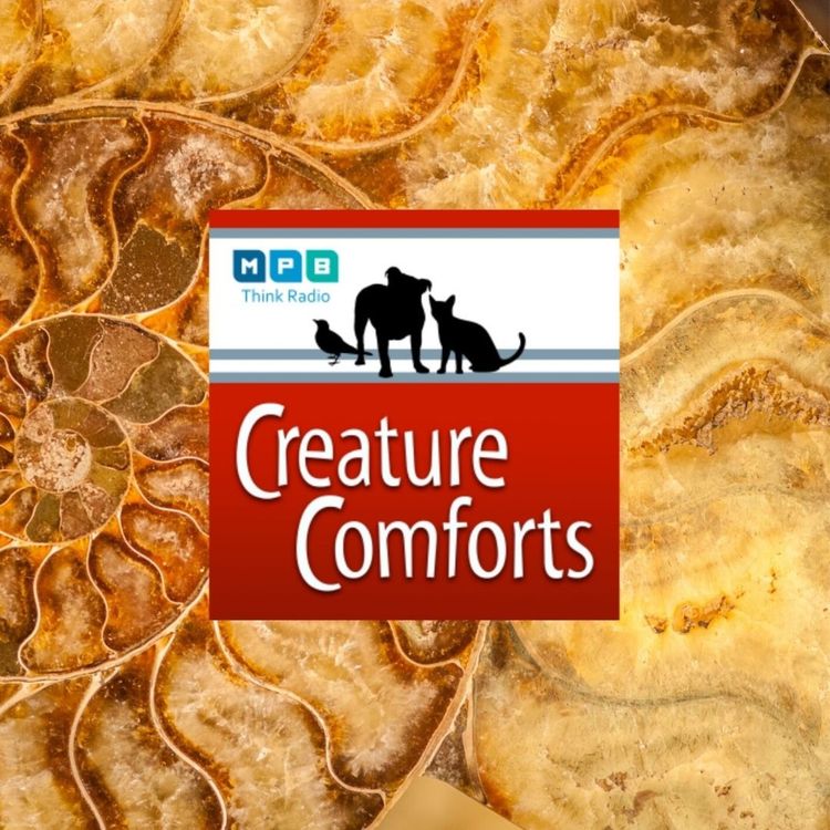 cover art for Creature Comforts: Red Hot Truck Stop