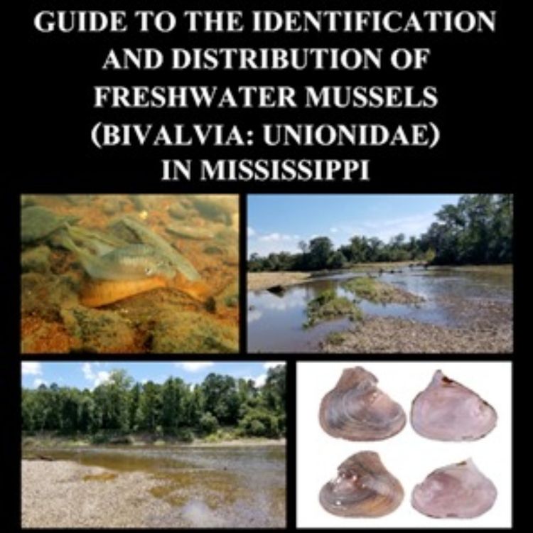 cover art for Creature Comforts: Freshwater Mussels