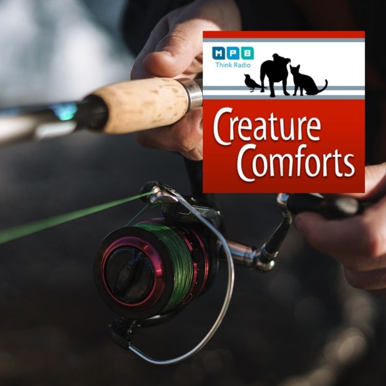 cover art for Creature Comforts: Rod & Reel